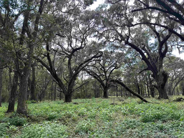 2930 Coastal Hwy Lot 1, Crawfordville, FL 32327