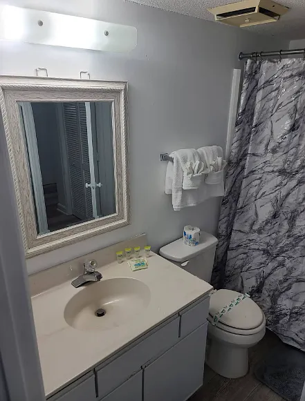 1 bed, 536 sqft, $1,300 — Photo 4