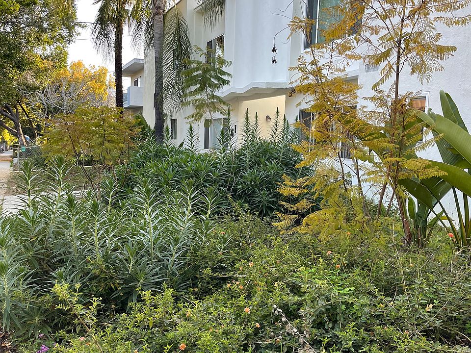 Building Photo 3