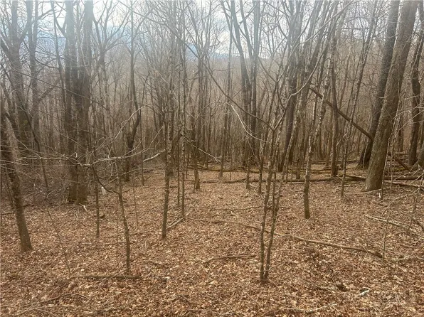 lot 39 Rainbow Ridge Road, Zionville, NC 28698