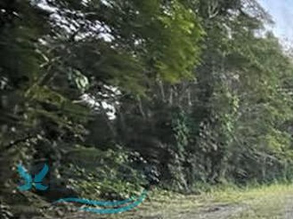 0 Bo German Abajo, Palmer, PR 00721