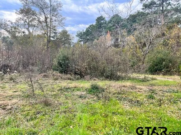 S Alma St, Troup, TX 75789