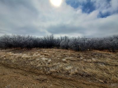 Thacker Rd, Rye, CO, 81069