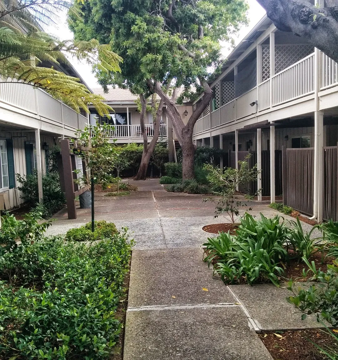 Casa Monterey Apartments — Photo 4