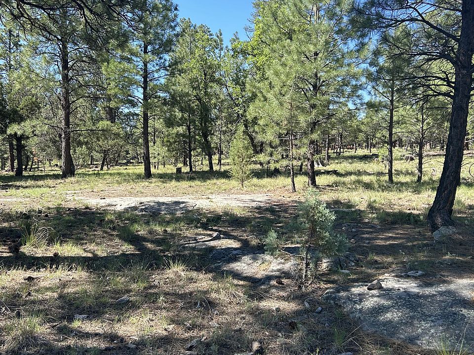 2nd image of 4978 Durango Dr