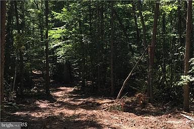 1st image of 9880 Tall Pines Pl