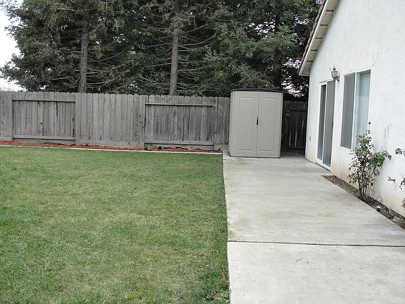 Backyard (2)