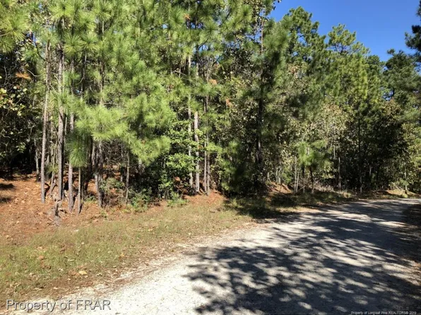 481 Evans Dr, Cameron, NC 28326