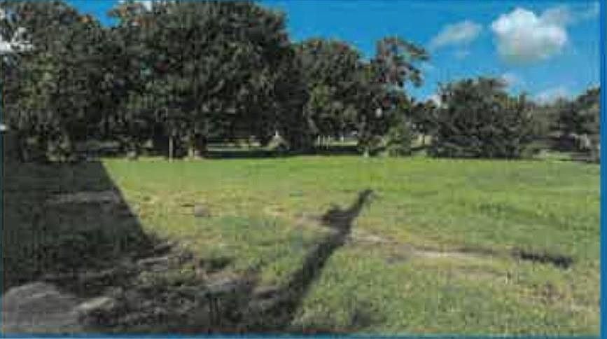 2nd image of 202 Texas Pkwy