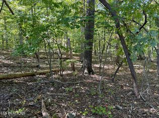 Lot411&412 Smith Rd, Spring City, TN 37381