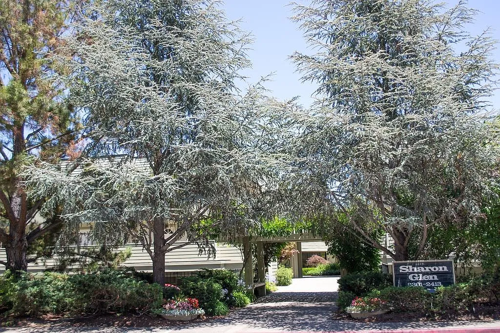 2303 Sharon Rd — Photo 4