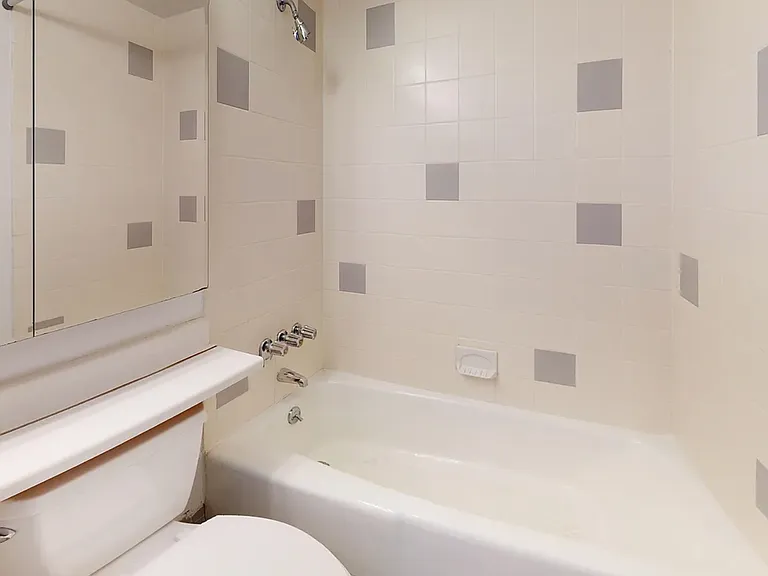 445 W 54th St #3D — Photo 7