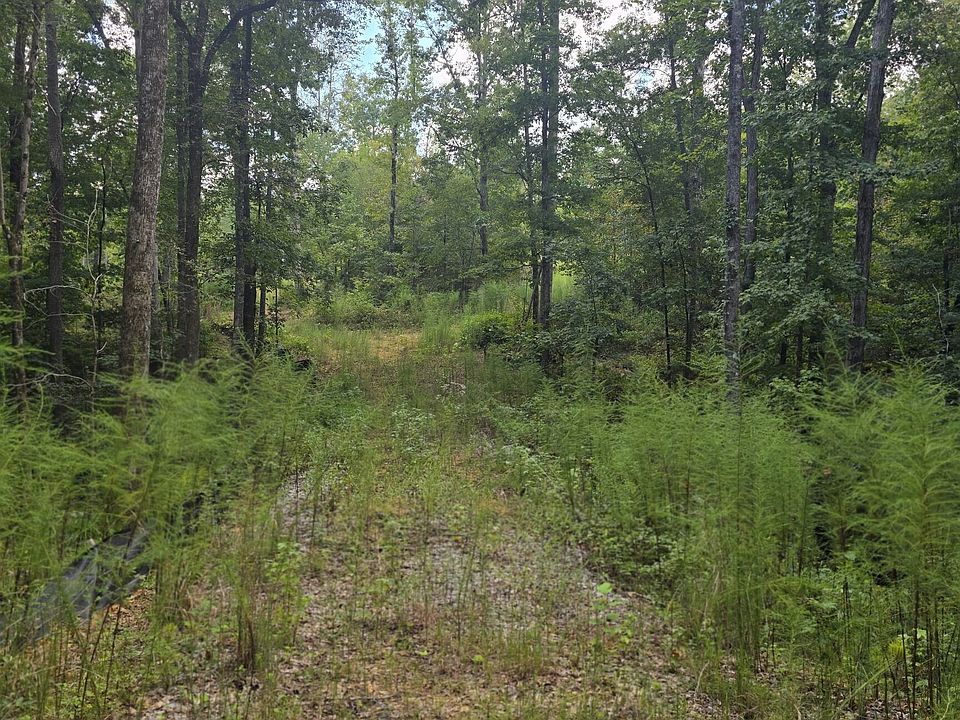 2nd image of 888 Forrester Cemetery Rd