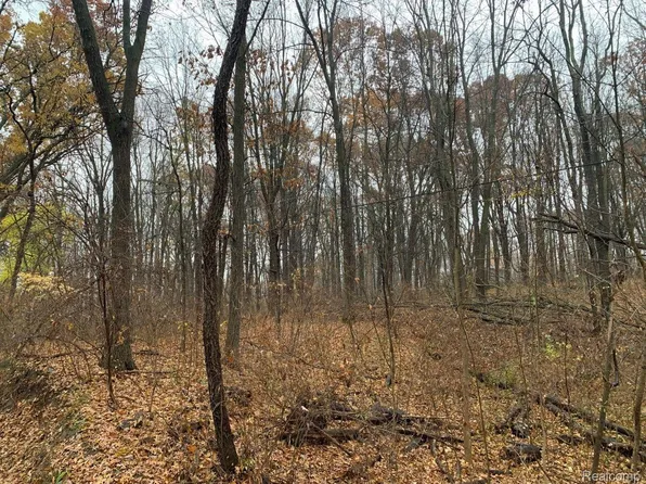 0 Dilley Rd, Davisburg, MI 48350