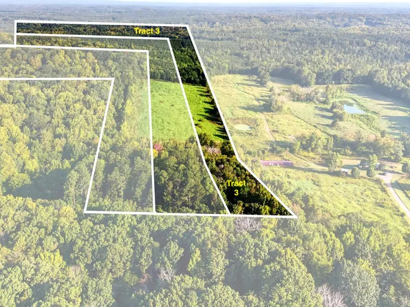 Tbd 3 Henderson Tanyard Road, Pittsboro, NC 27312