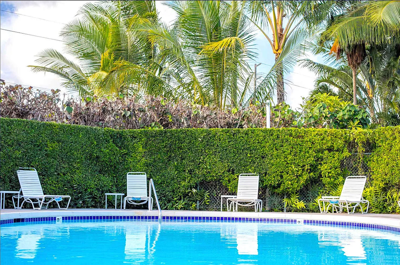 1 bed, 1.0 bath, 495 sqft, $10,987 — Photo 4