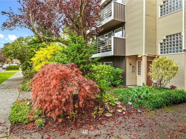8812 Stone Ave N APT 302, Seattle, WA 98103