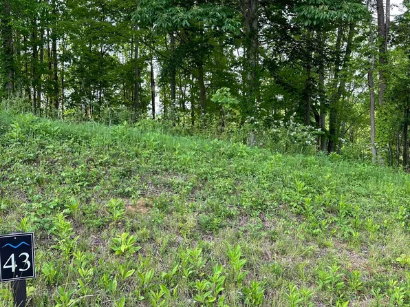 LOT 43 Watauga Ridge Rd, Butler, TN 37640