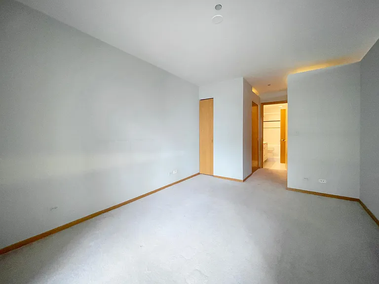 910 S Michigan Ave #1009 — Photo 12