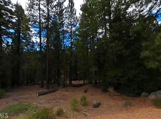 0 California Pines Blvd #11, Alturas, CA 96101