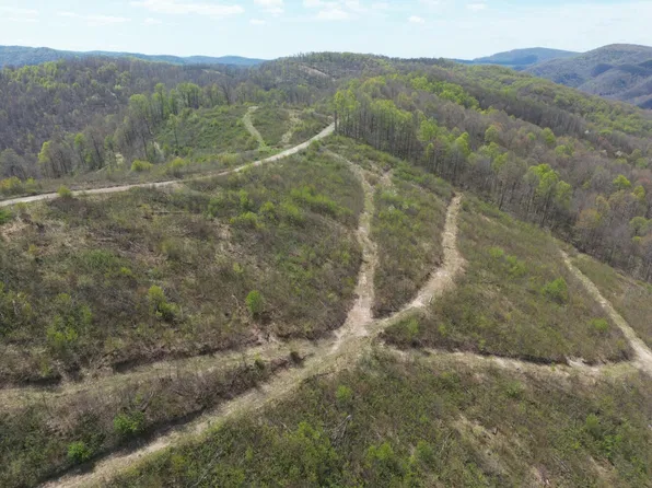 0 Burch Hill Rd Tract D, Terra Alta, WV 26764