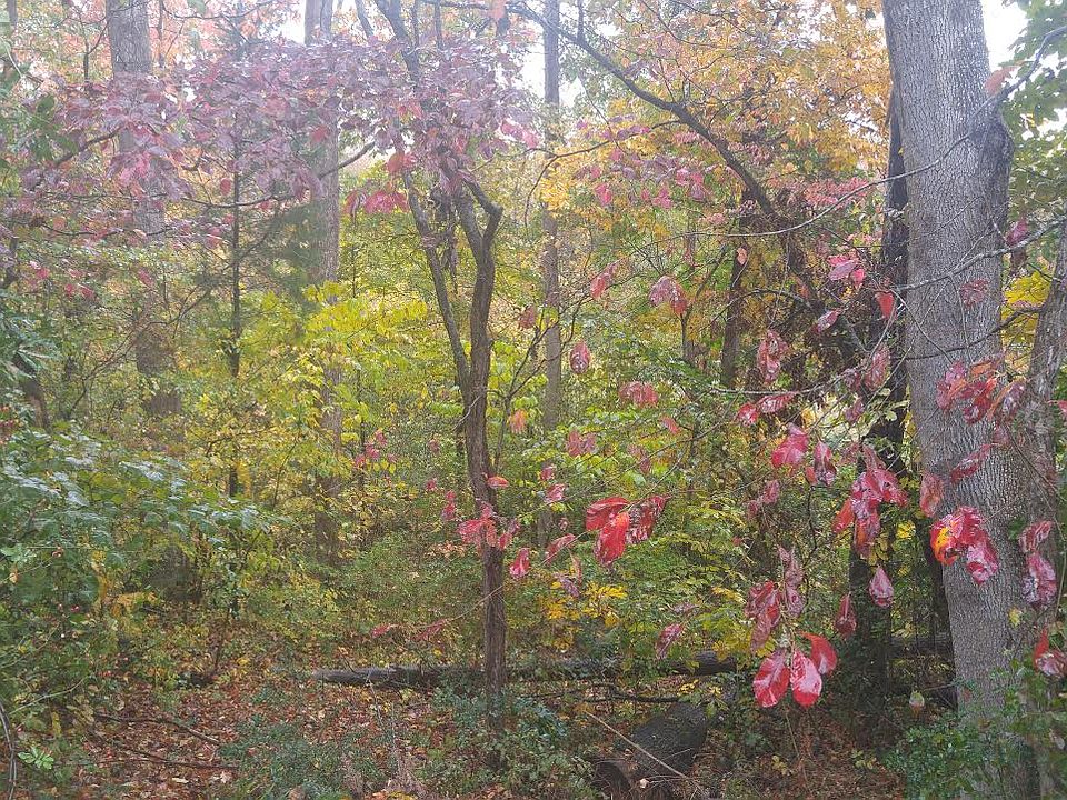 1st image of 277 River Birch Cir