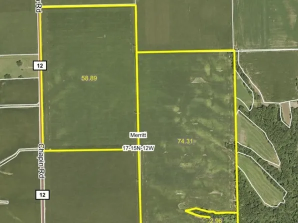 0 Boehs Ln, Bluffs, IL 62621