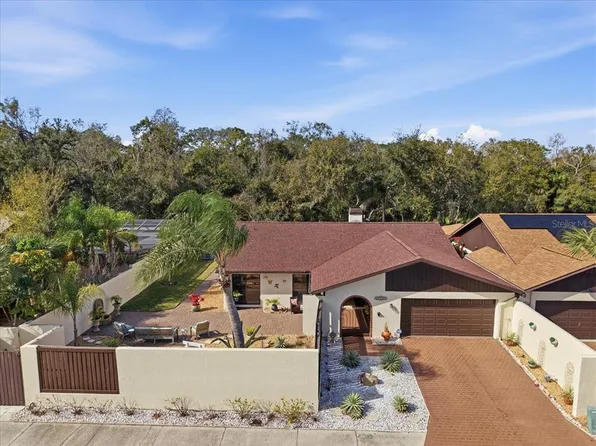 13608 Avista Dr, Tampa, FL 33624