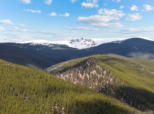 1364 Royal Ridge Dr #21, Bailey, CO 80421