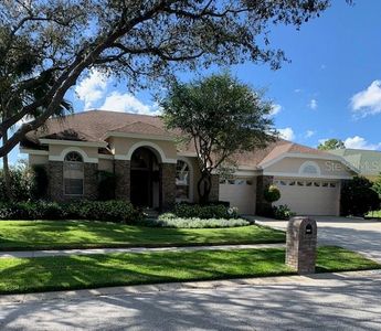 2305 Sunview Ave, Valrico, FL, 33596
