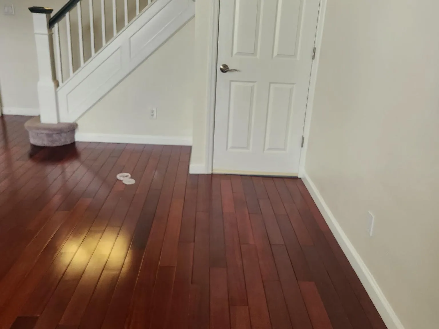 2 bed, 1100 sqft, $3,300 — Photo 4