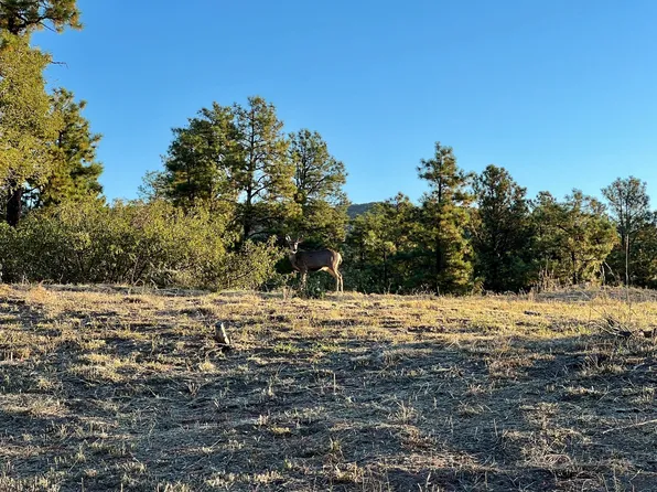 4226 Alabama Ave, Los Alamos, NM 87544