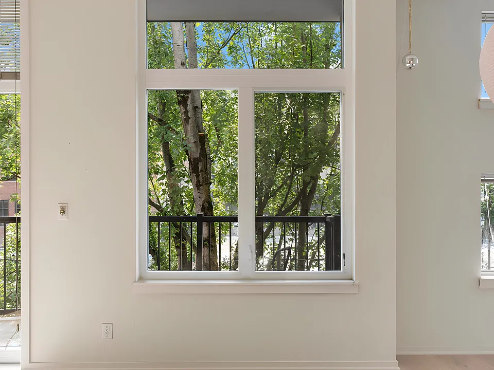 Tree Canopy view with exceptional light.