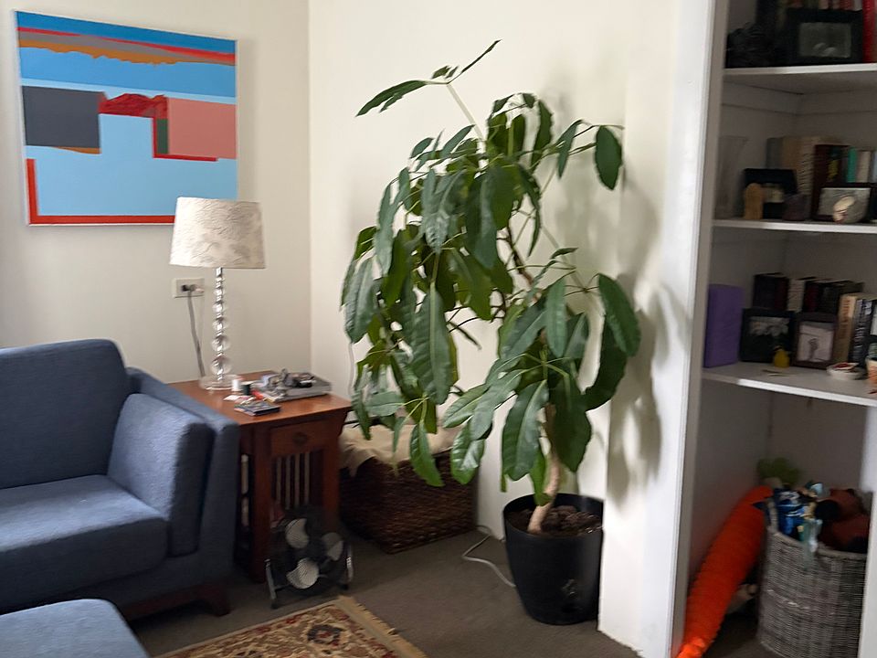 1st image of 36 Grand St