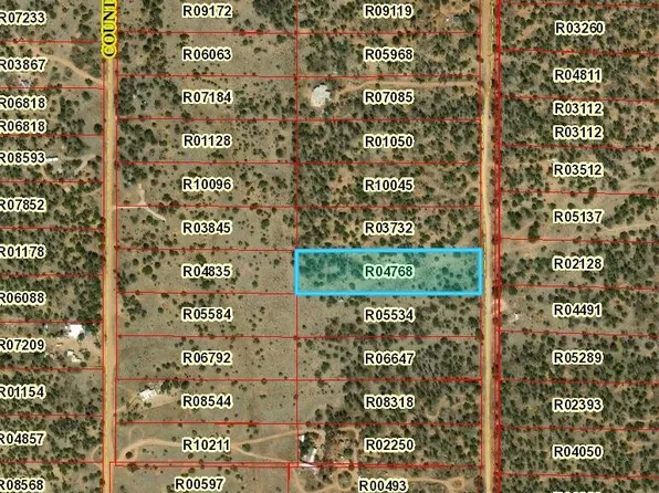 LOT 362 Hickory Ln, Pinehill, NM 87357