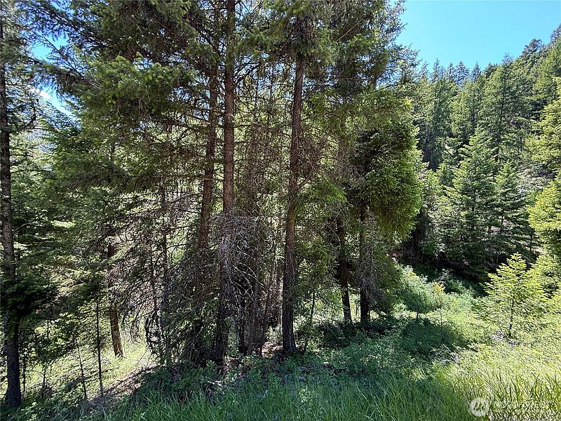 3rd image of 0 TBD Toroda Creek Road