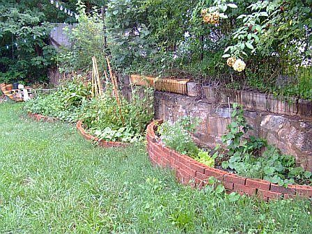 Back Yard Garden