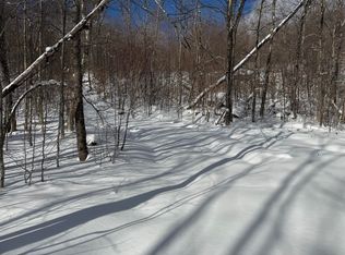 Great Roaring Brook Rd #S-1E, Plymouth, VT 05056