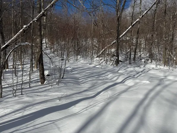 S-1e Great Roaring Brook Road #S-1e, Plymouth, VT 05056