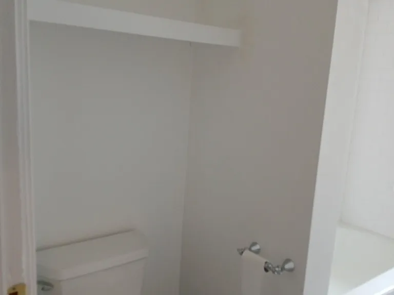 Toilet with shelves above