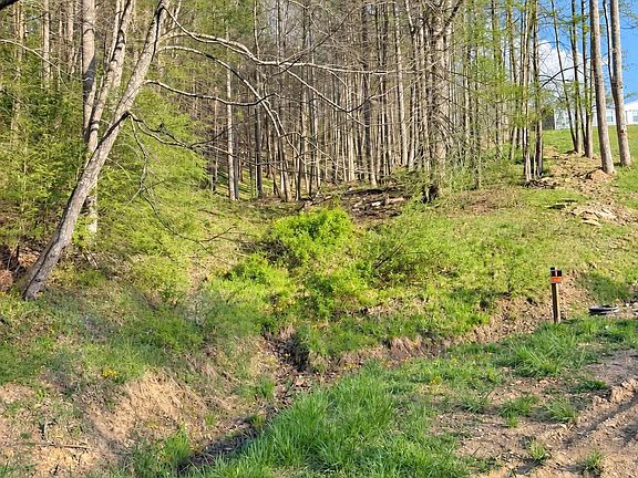 4th image of Bowers Ridge Rd
