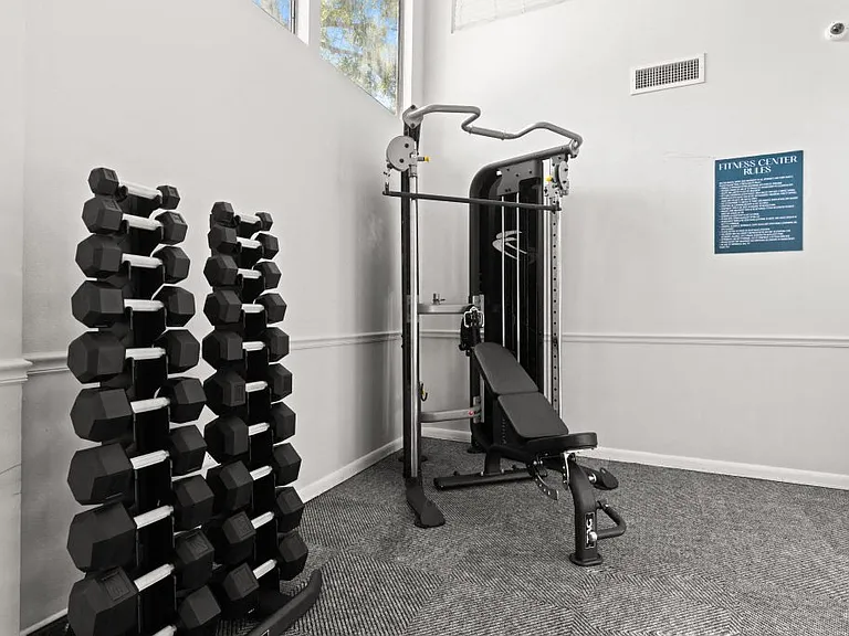 The Pointe at Carrollwood — Photo 17
