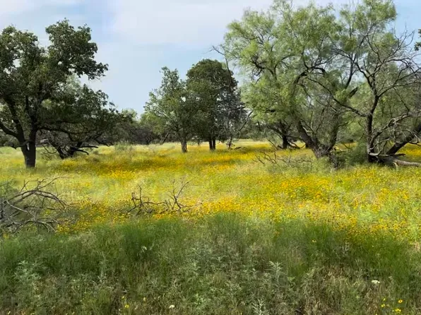 320 Pumphrey Rd Lot 5, Loving, TX 76460