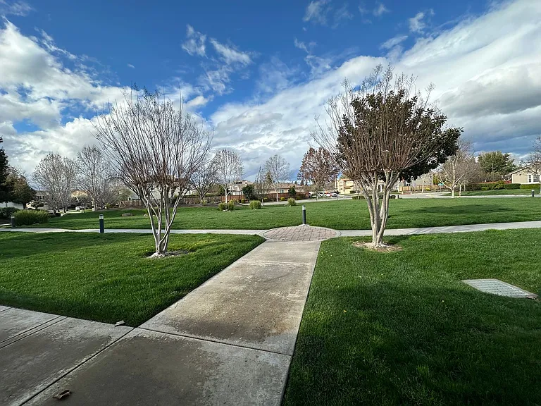 3603 Fieldview Ct — Photo 48