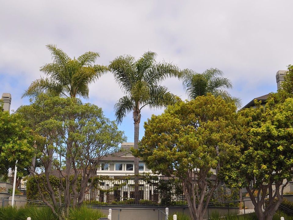 1st image of 880 Meridian Bay Ln Unit 309