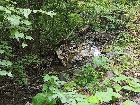 3rd image of 0 Old Oak Ln