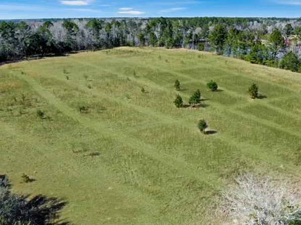 Bayberry Dr, Wewahitchka, FL 32465