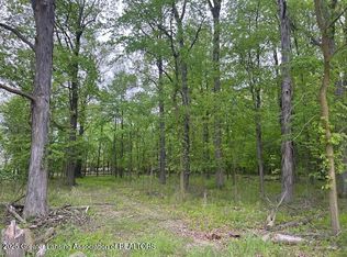 0 W Hyde Rd, Saint Johns, MI 48879