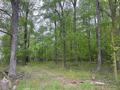 0 W Hyde Rd, Saint Johns, MI, 48879