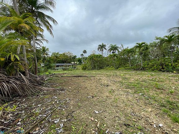 4th image of B 27 Delonix